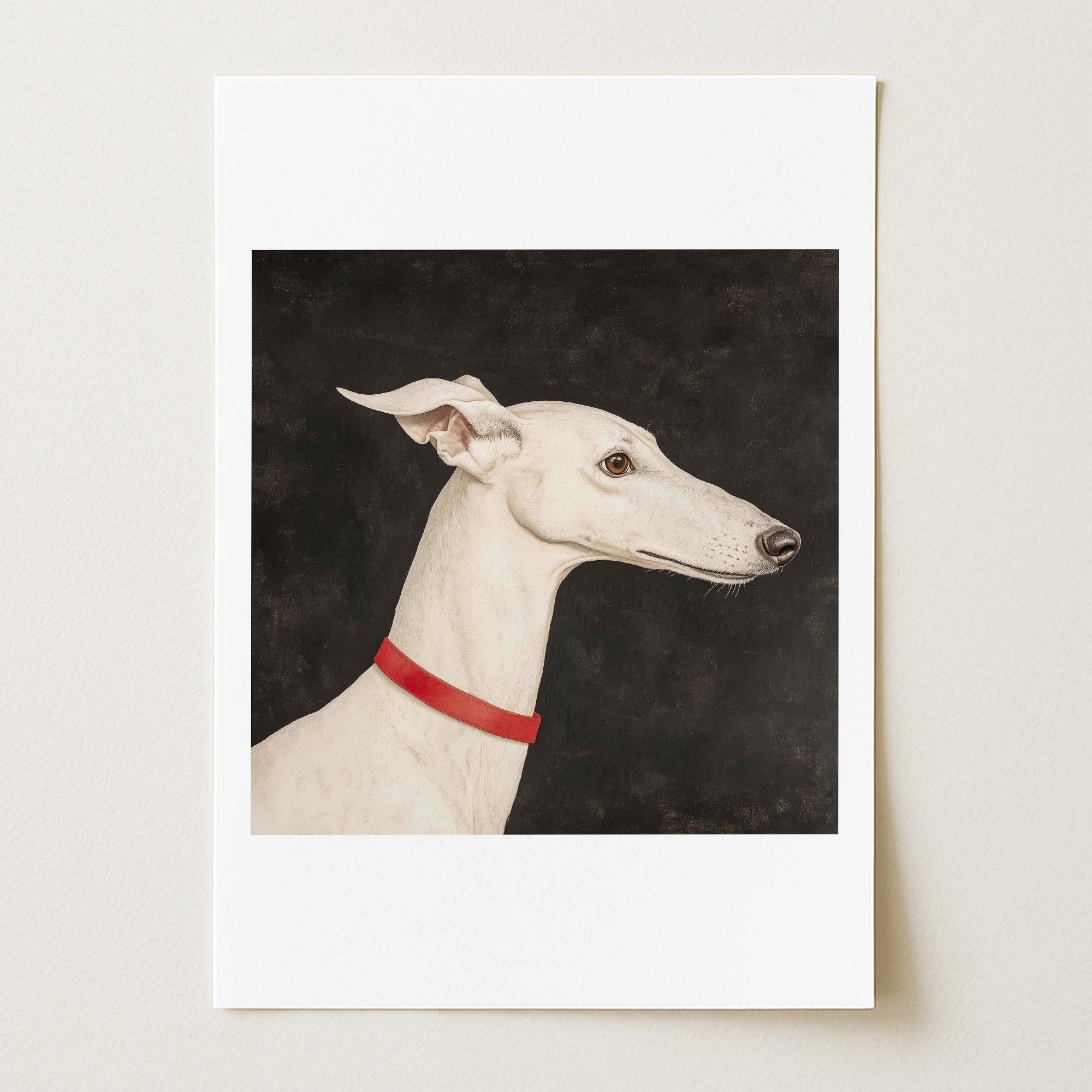 White Greyhound Dog Portrait Animal Wall Art Print-Skudaboo