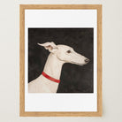 White Greyhound Dog Portrait Wall Art Print-Skudaboo