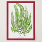 Vintage Fern Botanical Wall Art Print-Skudaboo