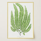 Vintage Fern Botanical Wall Art Print-Skudaboo