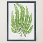 Vintage Fern Botanical Wall Art Print-Skudaboo