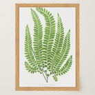 Vintage Fern Botanical Wall Art Print-Skudaboo