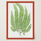 Vintage Fern Botanical Wall Art Print-Skudaboo