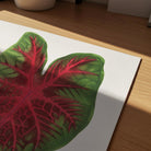 Caladium Bicolour Vintage Botanical Wall Art Print-Skudaboo