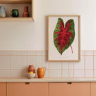Caladium Bicolour Vintage Botanical Wall Art Print-Skudaboo
