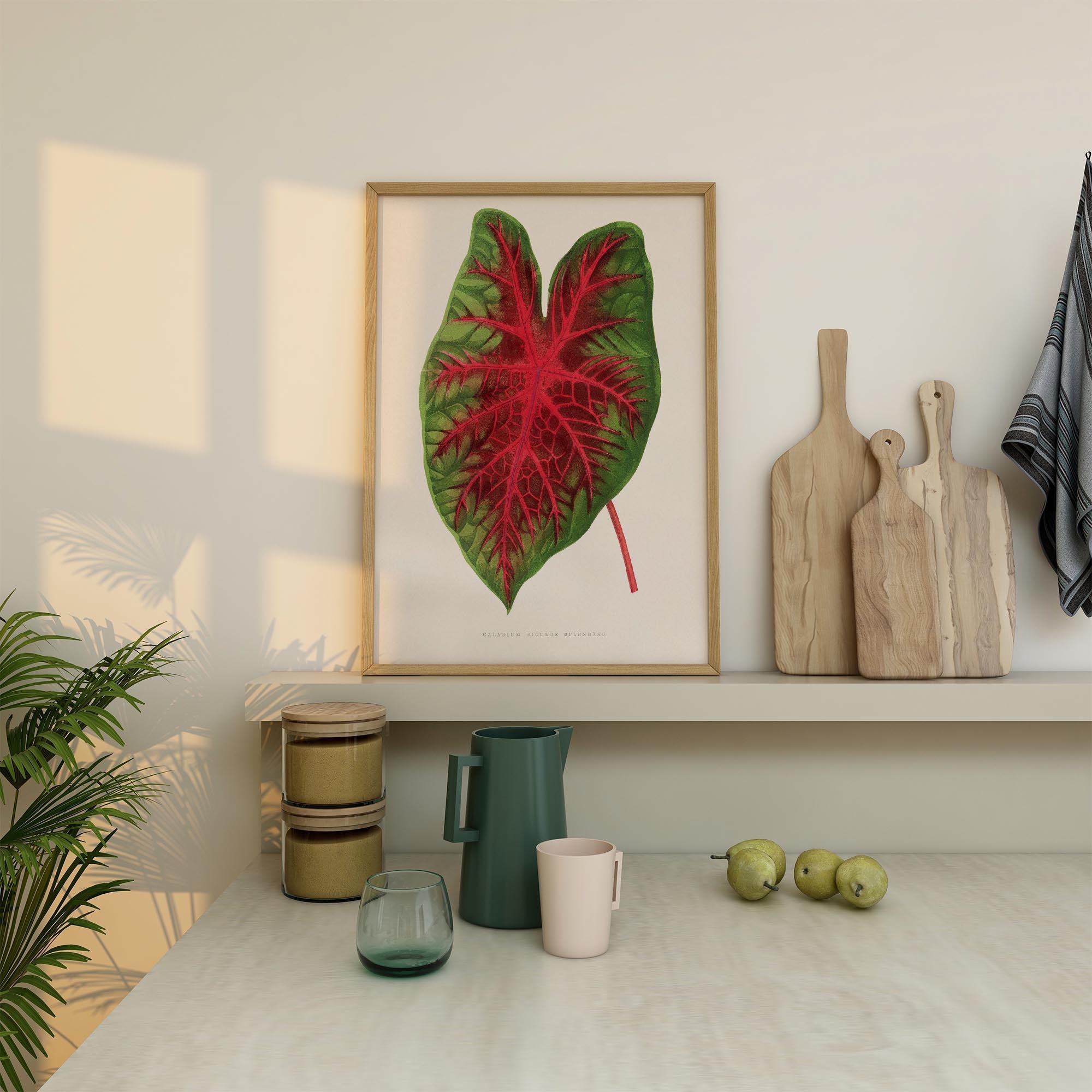 Caladium Bicolour Vintage Botanical Wall Art Print-Skudaboo