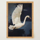 White Swan Wall Art Print-Skudaboo