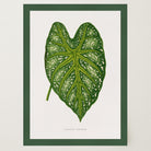 Green Leaf Botanical Vintage Wall Art Print-Skudaboo