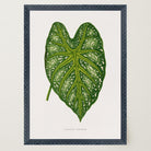 Green Leaf Botanical Vintage Wall Art Print-Skudaboo