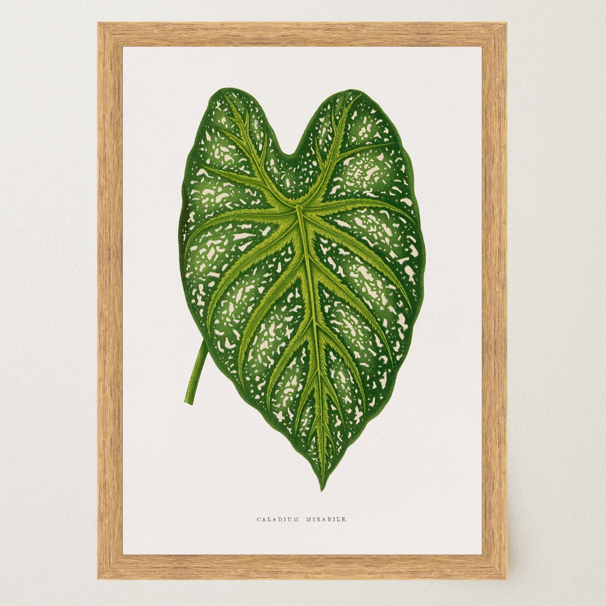 Green Leaf Botanical Vintage Wall Art Print-Skudaboo