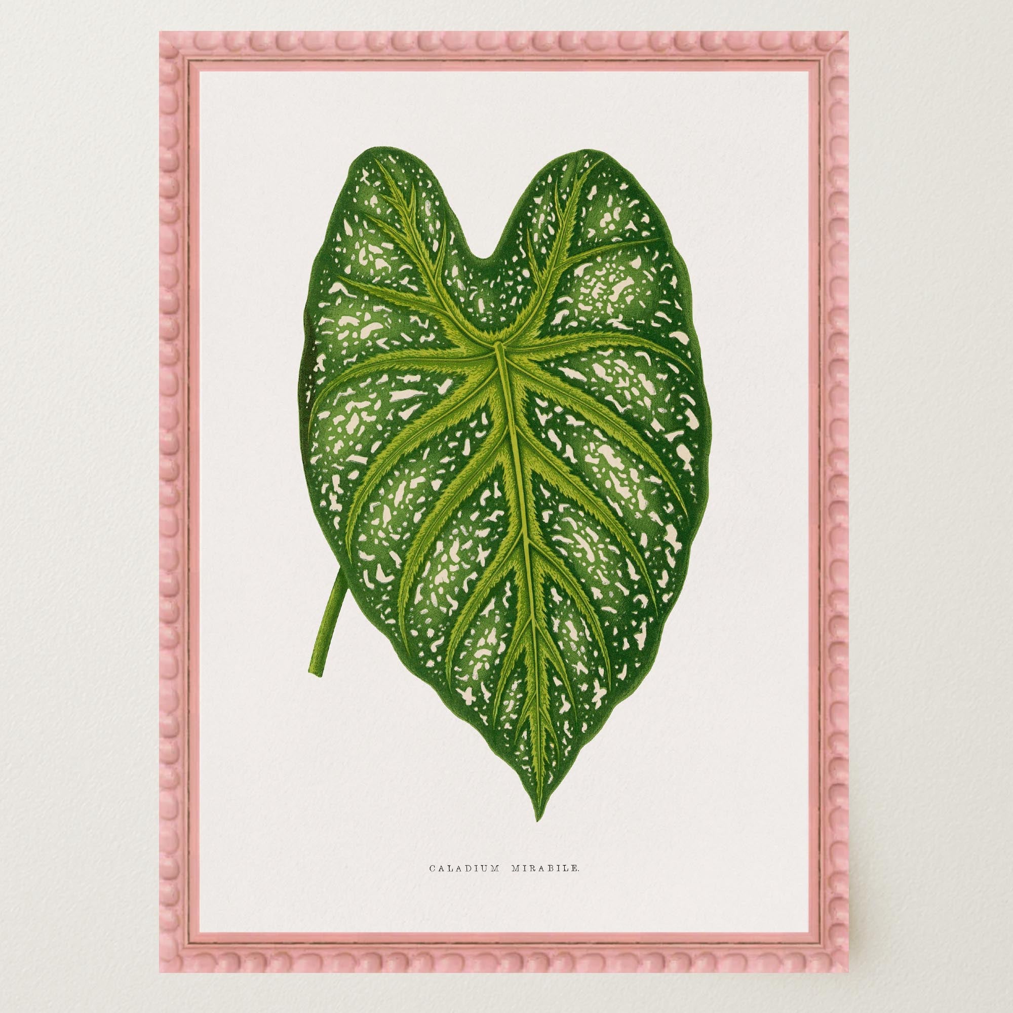 Green Leaf Botanical Vintage Wall Art Print-Skudaboo