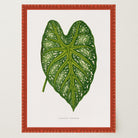 Green Leaf Botanical Vintage Wall Art Print-Skudaboo