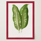 Botanical Leaf Study Vintage Wall Art Print-Skudaboo