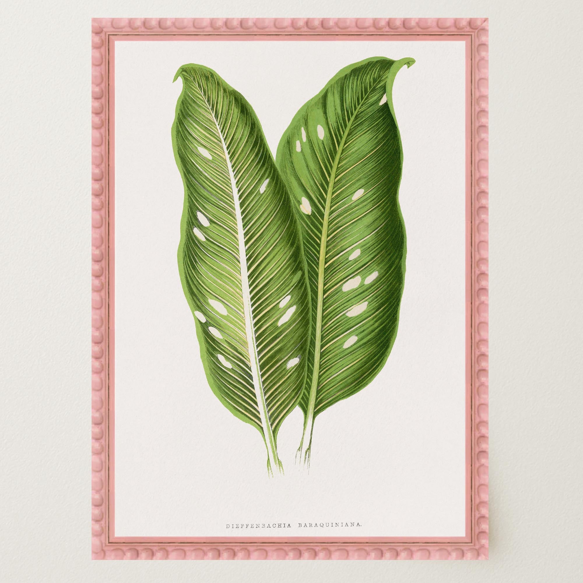 Botanical Leaf Study Vintage Wall Art Print-Skudaboo