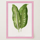 Botanical Leaf Study Vintage Wall Art Print-Skudaboo