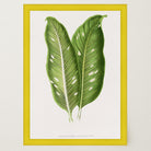 Botanical Leaf Study Vintage Wall Art Print-Skudaboo