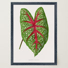 Green & Pink Leaf Botanical Vintage Art Print-Skudaboo
