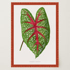 Green & Pink Leaf Botanical Vintage Art Print-Skudaboo
