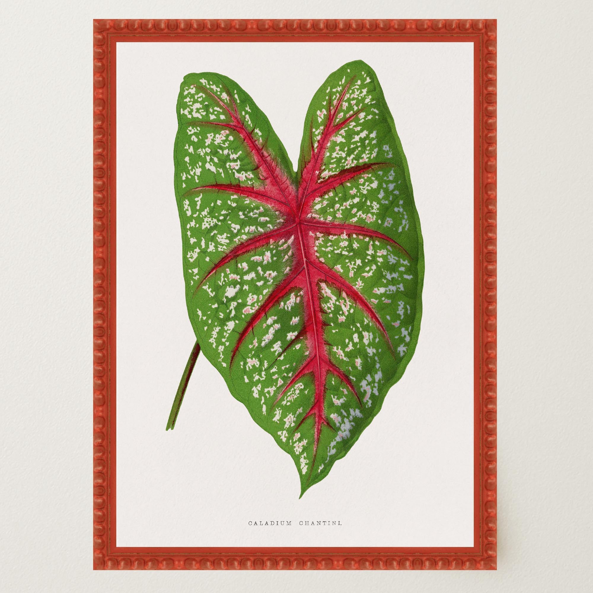 Green & Pink Leaf Botanical Vintage Art Print-Skudaboo