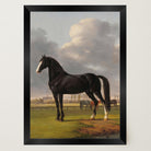 Vintage Horse Portrait Art Print-Skudaboo