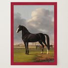 Vintage Horse Portrait Art Print-Skudaboo