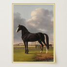 Vintage Horse Portrait Art Print-Skudaboo