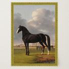 Vintage Horse Portrait Art Print-Skudaboo