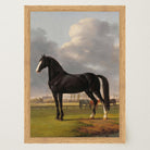 Vintage Horse Portrait Art Print-Skudaboo