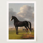 Vintage Horse Portrait Art Print-Skudaboo