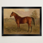 Vintage Horse Portrait Art Print-Skudaboo
