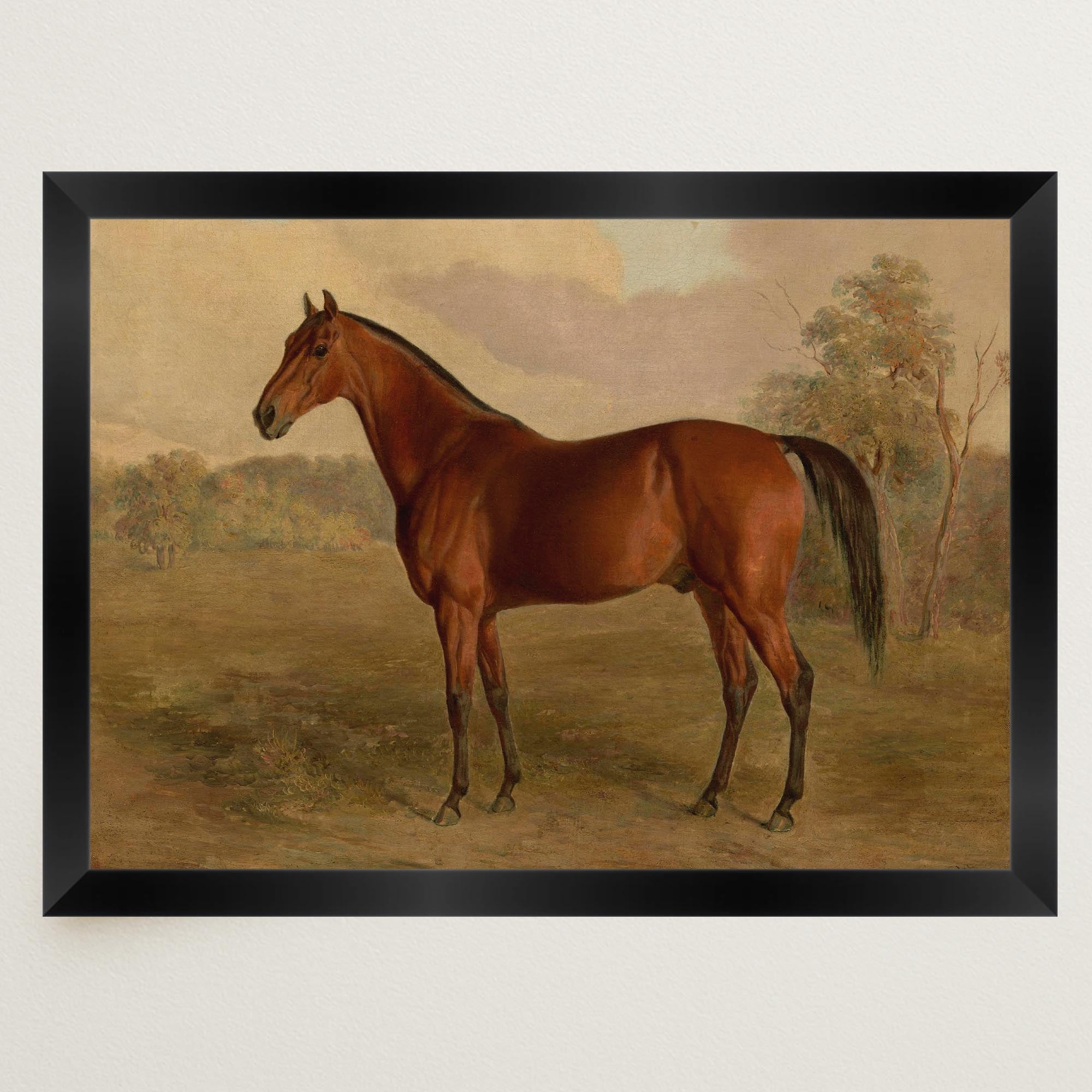 Vintage Horse Portrait Art Print-Skudaboo