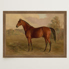 Vintage Horse Portrait Art Print-Skudaboo