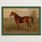 Vintage Horse Portrait Art Print-Skudaboo