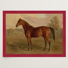 Vintage Horse Portrait Art Print-Skudaboo