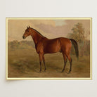 Vintage Horse Portrait Art Print-Skudaboo