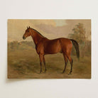 Vintage Horse Portrait Art Print-Skudaboo