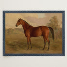 Vintage Horse Portrait Art Print-Skudaboo