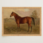 Vintage Horse Portrait Art Print-Skudaboo