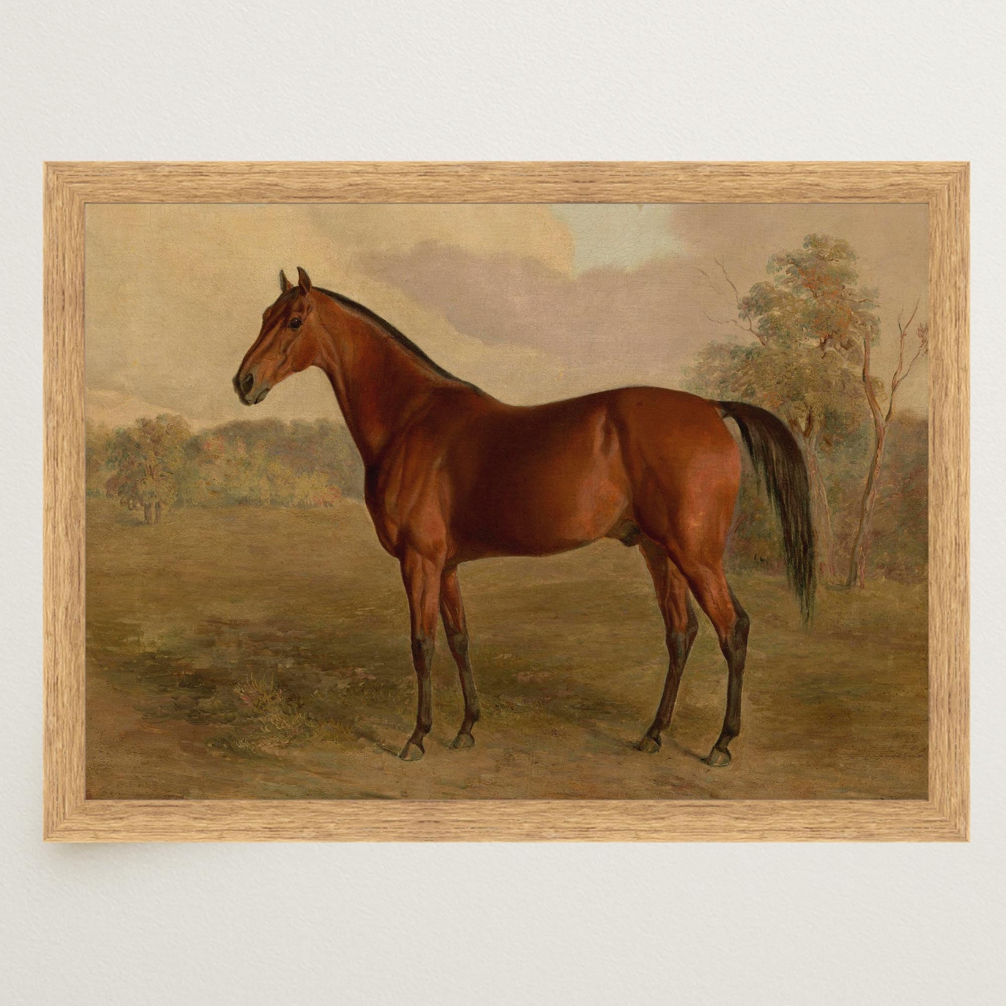 Vintage Horse Portrait Art Print-Skudaboo
