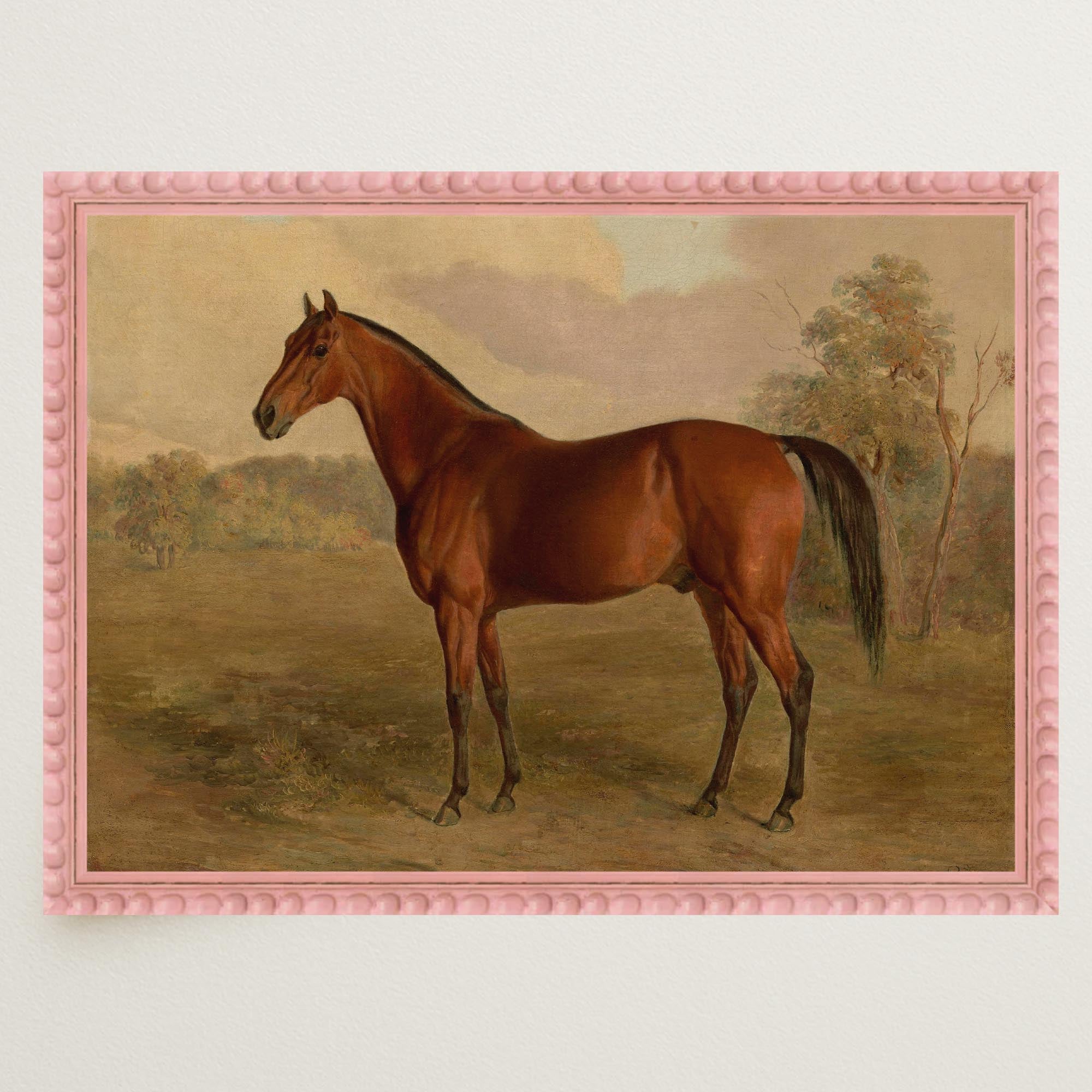 Vintage Horse Portrait Art Print-Skudaboo