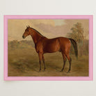 Vintage Horse Portrait Art Print-Skudaboo