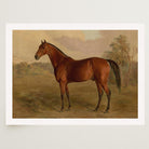 Vintage Horse Portrait Art Print-Skudaboo