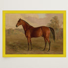 Vintage Horse Portrait Art Print-Skudaboo