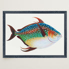 Opah Fish Vintage Wall Art Print-Skudaboo