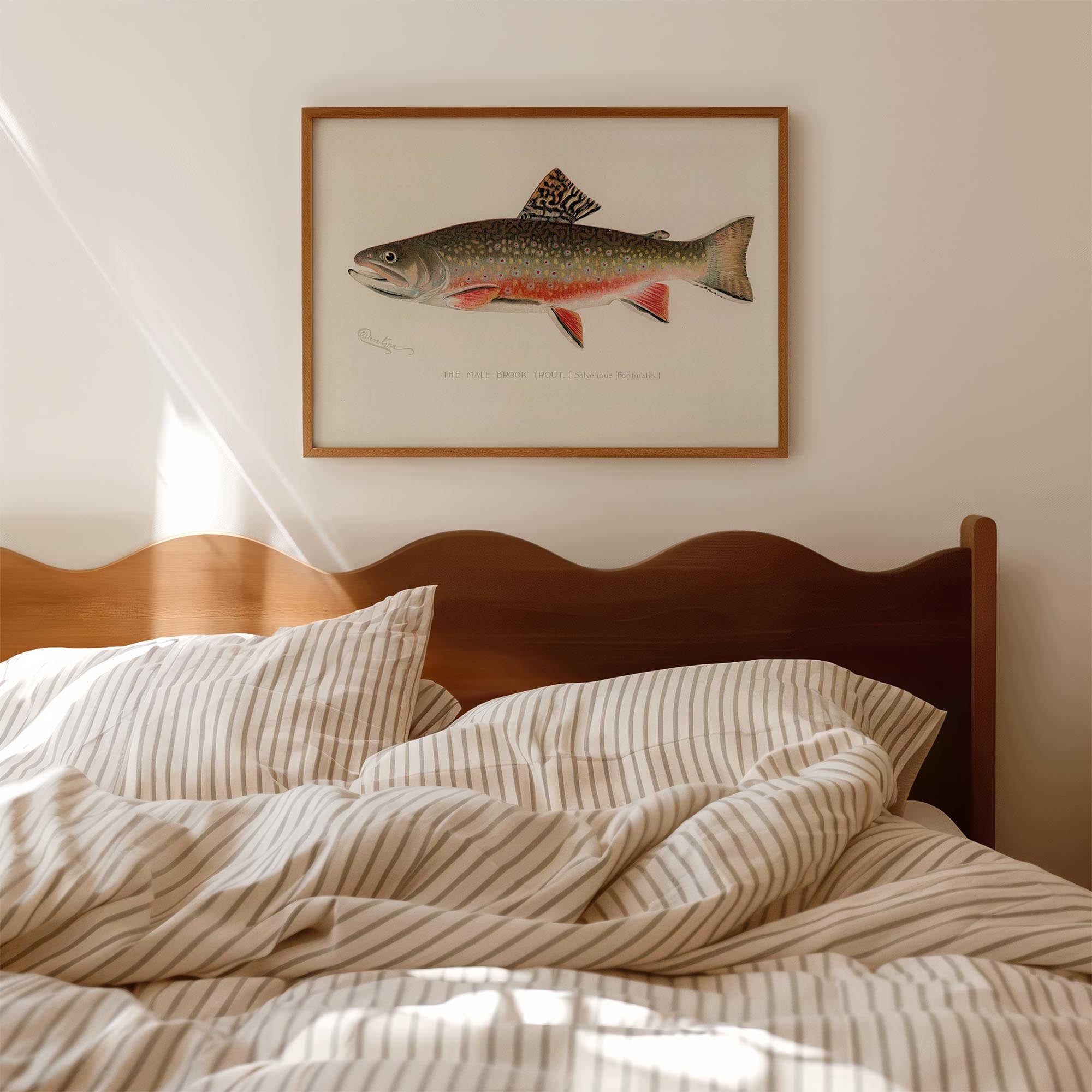 Brook Trout Fish Vintage Wall Art Print-Skudaboo