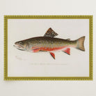 Brook Trout Fish Vintage Wall Art Print-Skudaboo