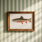 Brook Trout Fish Vintage Wall Art Print-Skudaboo