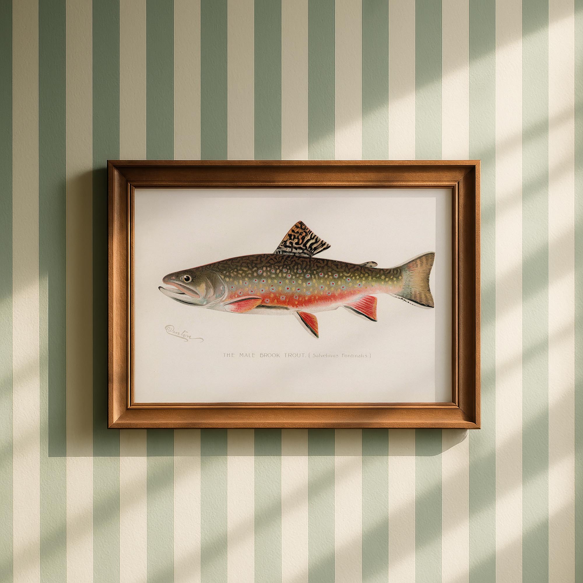 Brook Trout Fish Vintage Wall Art Print-Skudaboo