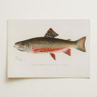 Brook Trout Fish Vintage Wall Art Print-Skudaboo