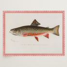 Brook Trout Fish Vintage Wall Art Print-Skudaboo